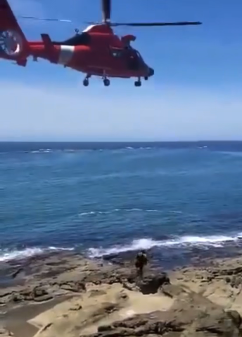Read more about the article Two Hikers rescued from a cliff Near Cape Arago State Park