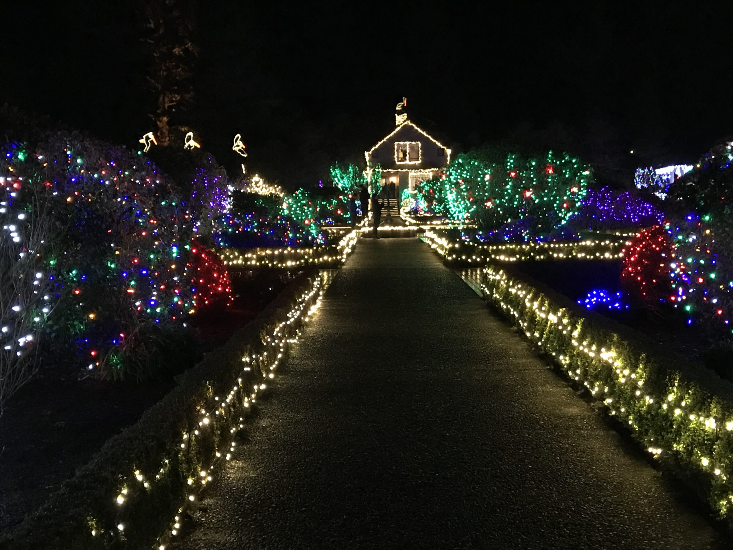 You are currently viewing Shore Acres Holiday Lights Will Open Thanksgiving Day