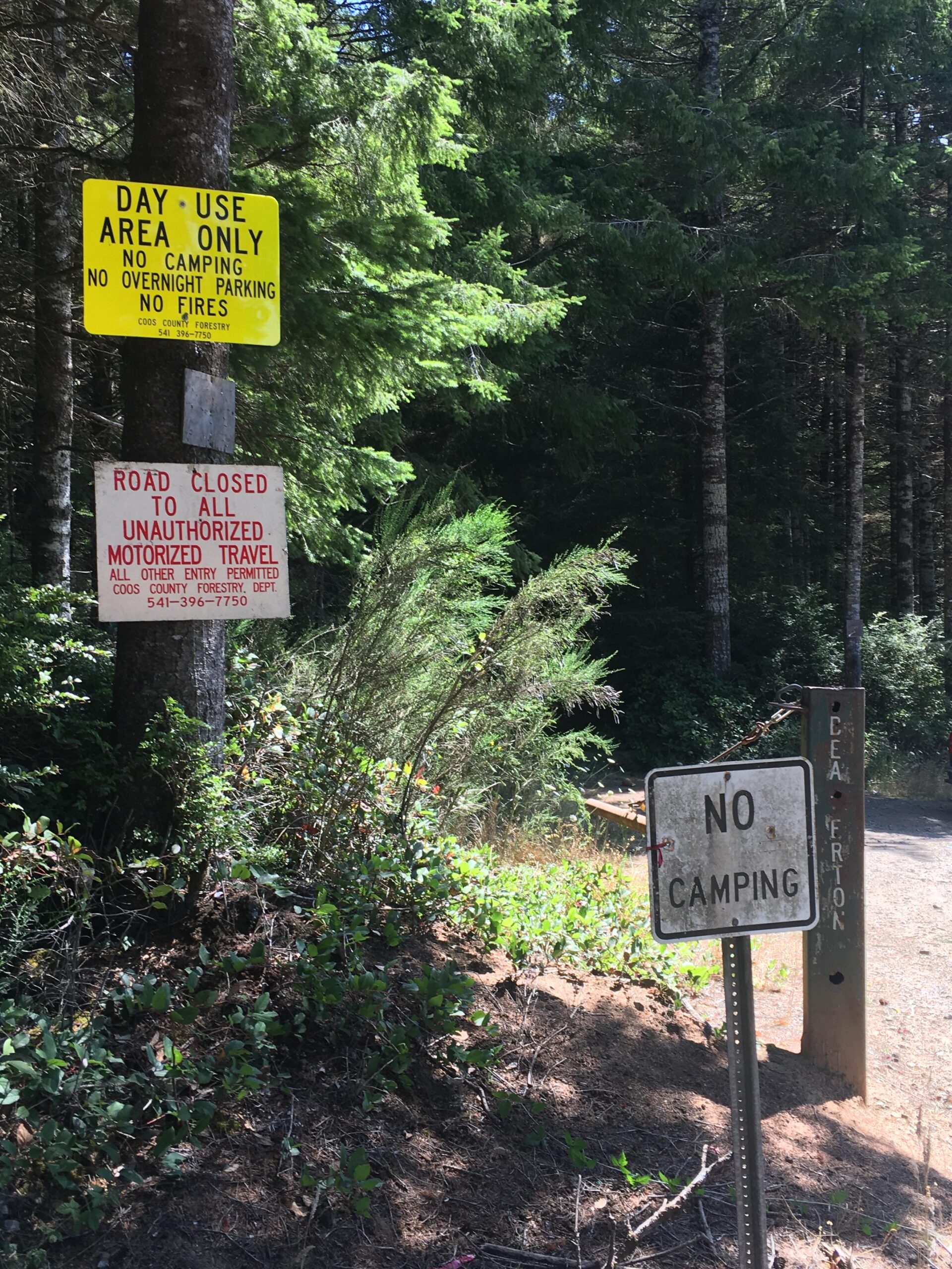 Read more about the article County Forest Closed to Motorized Vehicles Effective Immediately