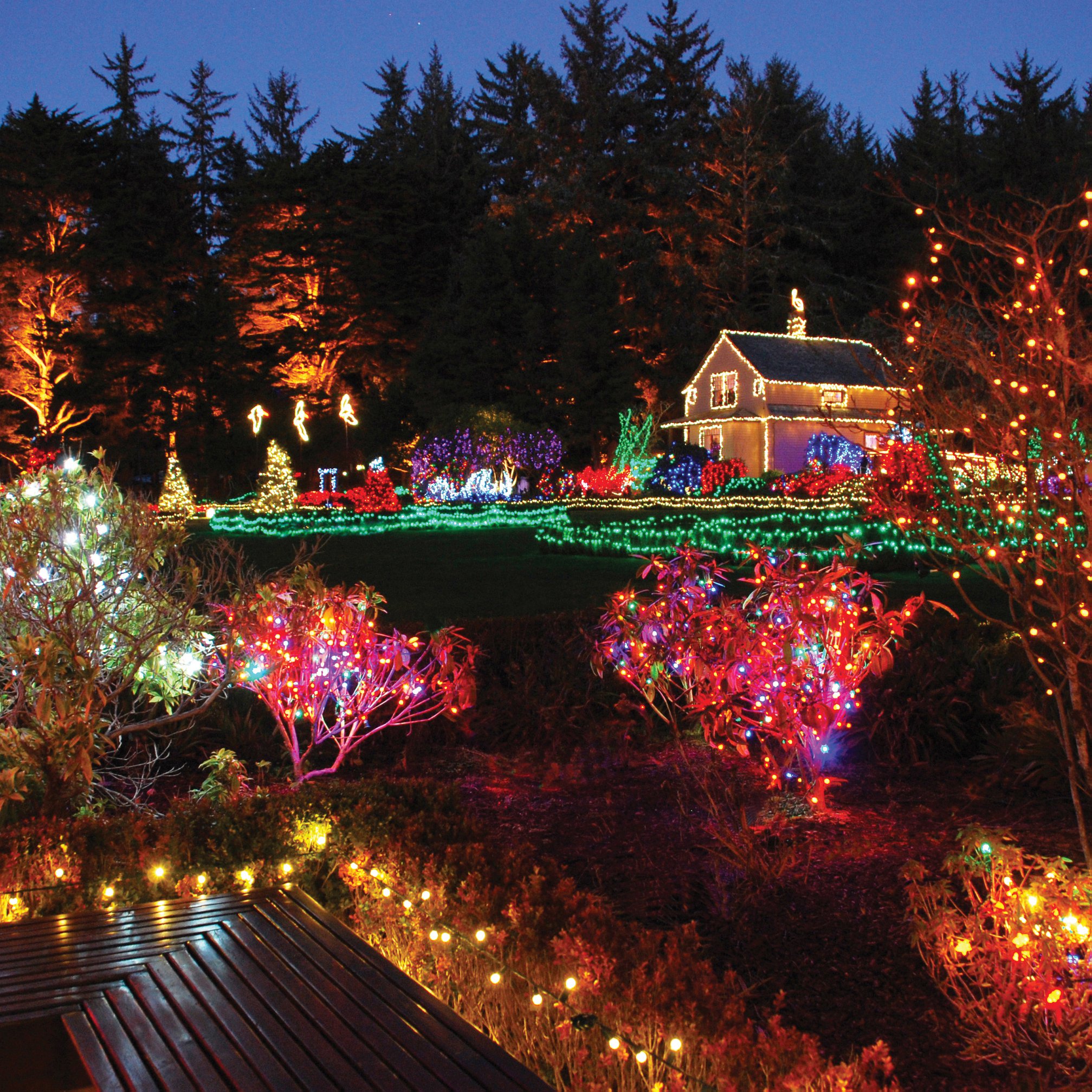 Read more about the article Back for 2022 – Shore Acres State Park Holiday Lights