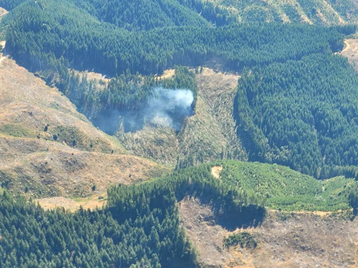 Read more about the article Firefighters Engaged With A Fire Southeast of Loon Lake