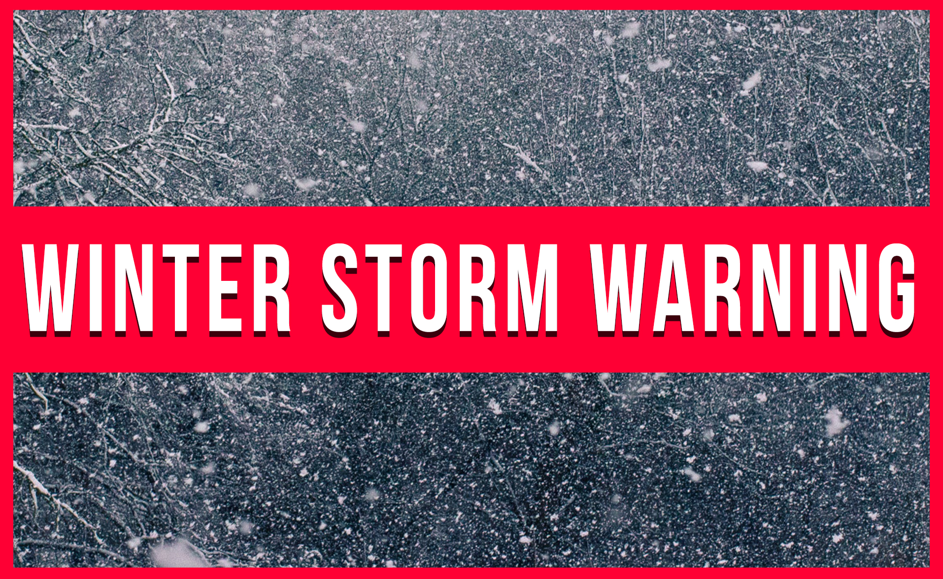 Read more about the article WINTER STORM WARNING